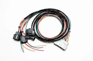 B Series OBD1 Subharness | 92-93 GSR Integra Carrot Top Tuning