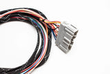 B Series OBD0 Subharness | 90-91 Integra Carrot Top Tuning