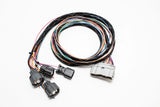 B Series OBD1 Subharness | 92-93 Non GSR Integra Carrot Top Tuning