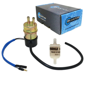 QFS OEM Replacement Frame-Mounted Electric Fuel Pump w/ Fuel Filter, HFP-179-F QFS