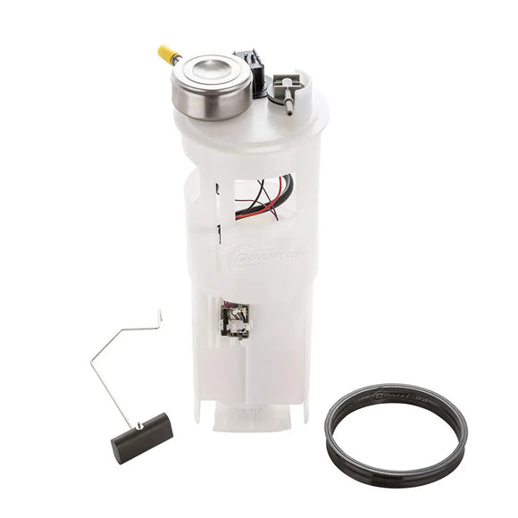 Generic OEM Replacement In-Tank EFI Fuel Pump Assembly, HFP-A137 QFS