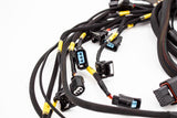 Fueltech FT450 Complete Standalone Honda K20 K24 Series Engine Harness