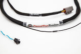 Fueltech FT450 K Series K20 K24 Adapter Jumper / Expansion / SUB Harness for ECU Display V2