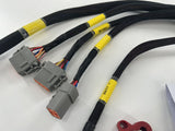 B Series Chassis Adapter Race Relay Fuse Box Lead Harness D Series H Series